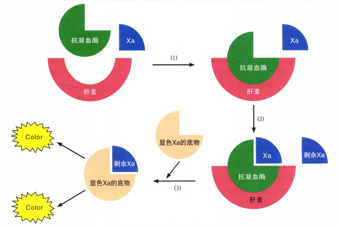 國產(chǎn)抗Xa質(zhì)量如何？多中心臨床研究來告訴你！